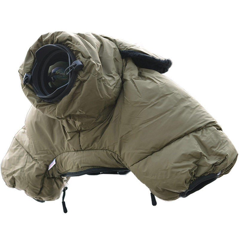 本土企业在技术创新、定制化服务等方面优势凸显