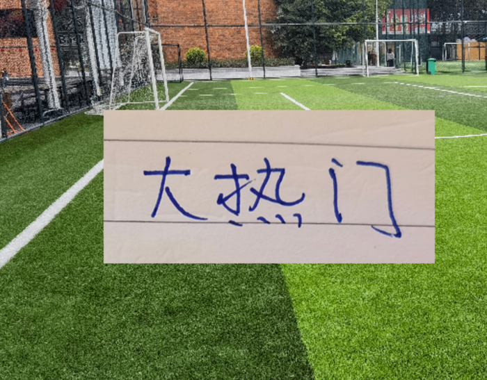 成都蓉城多线发力冲击冠军 优势明显引关注